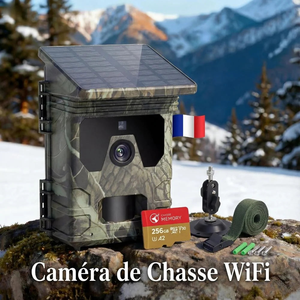 Solar-Wildkamera mit Display