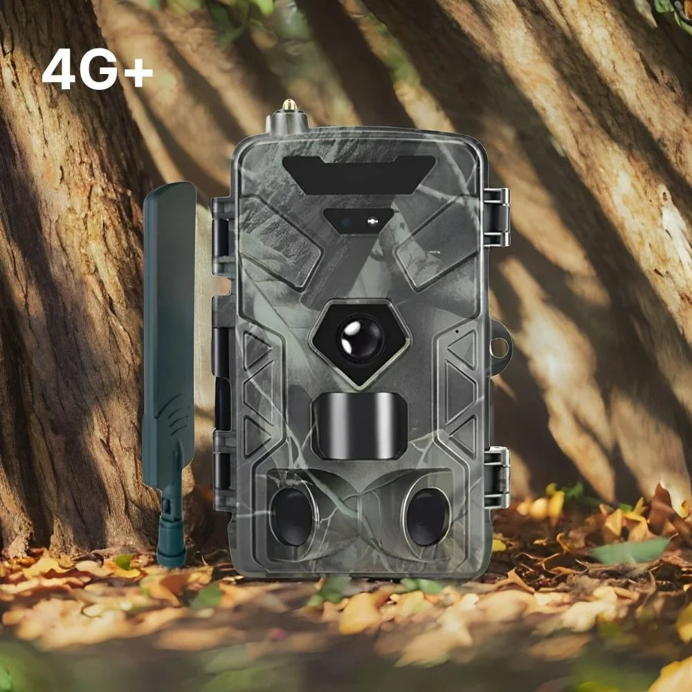 Wildkamera 4G in 8K oder 4K