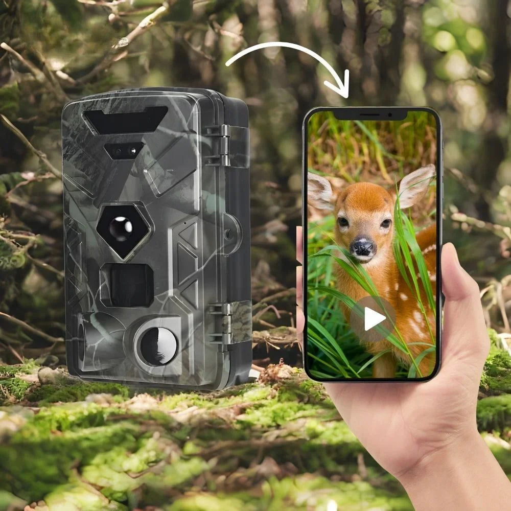 Wildkamera 4G in 8K oder 4K – Ansicht 3