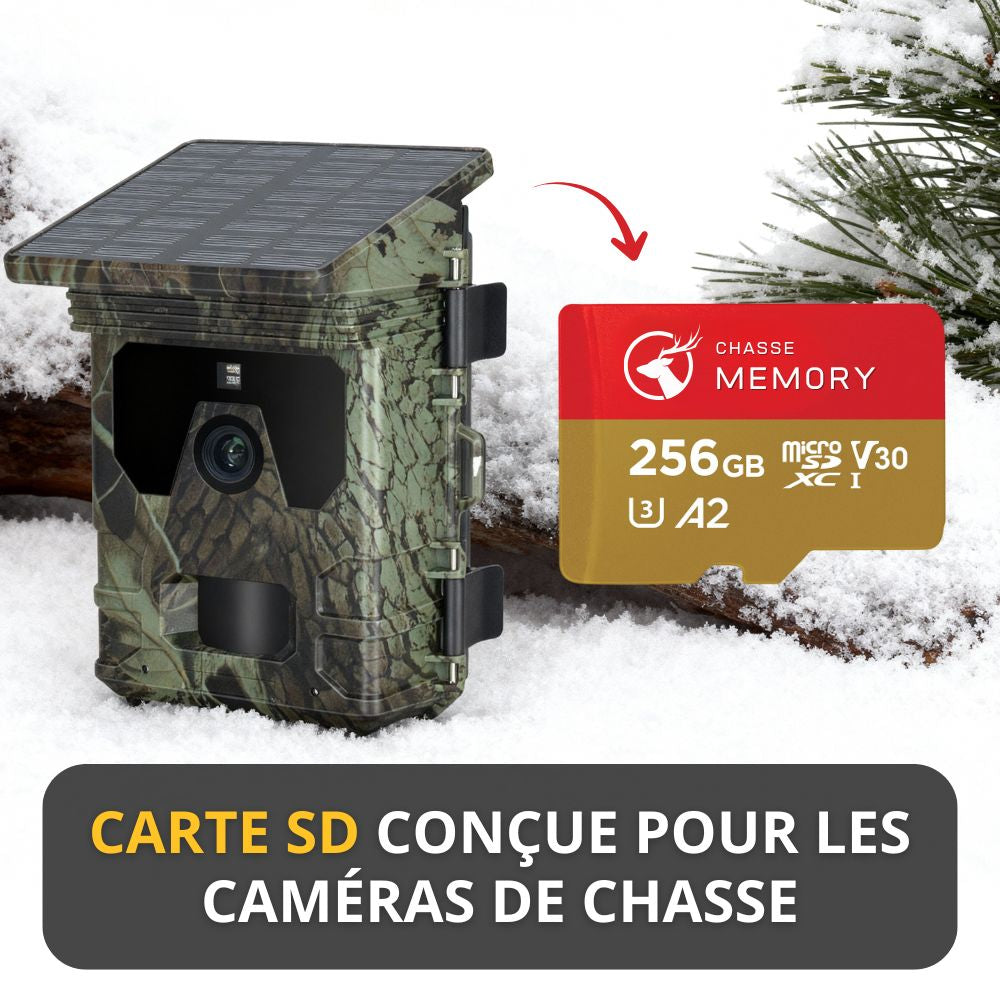 microSD-Karte für Wildkamera